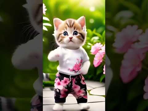 ????????Funny cat videos #shorts #ytshorts #cat #catvideos #cute