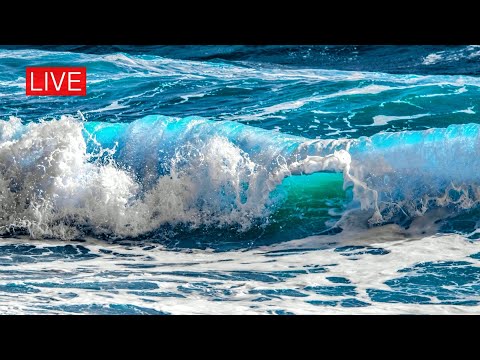 ????Relaxing Music - Ocean Waves - Seagulls - Beautiful Piano, Sleep Music, Stress Relief - Relax