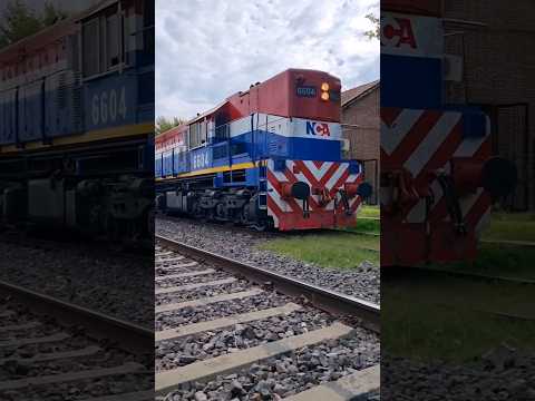 NCA 6604 #video #trending #railway #argentina #4K #train #tiktok #viral #shortyoutube #trend #fyp